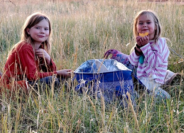 Children in a meadow
