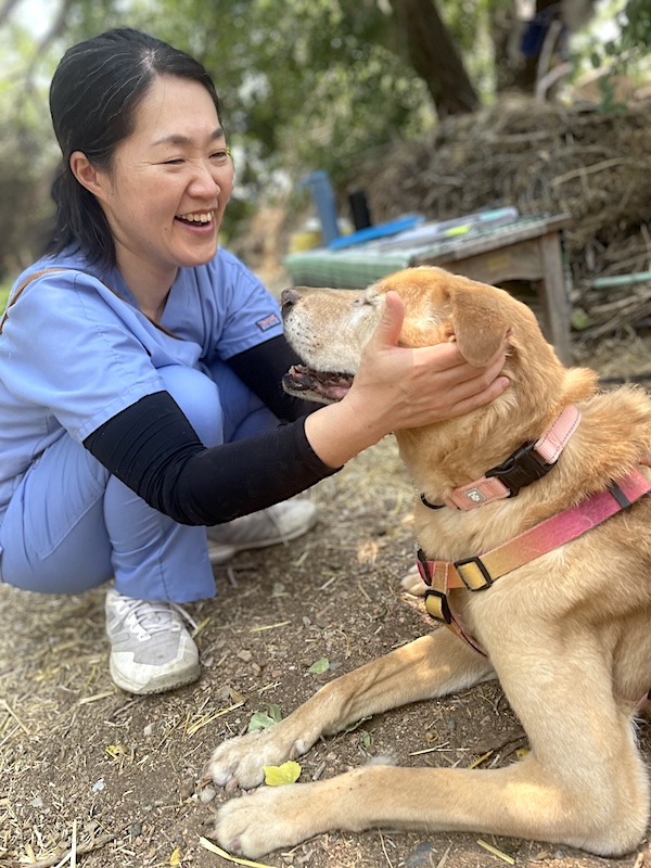 Woman with Retriever